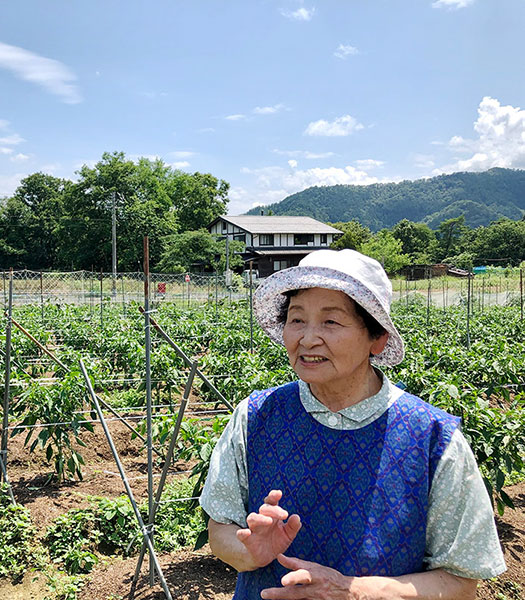 万願寺農家の水本さんインタビュー